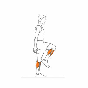 wspięcia na palce (calf raises)