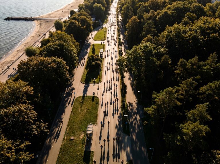 bulwar nadmorski gdynia 95dk