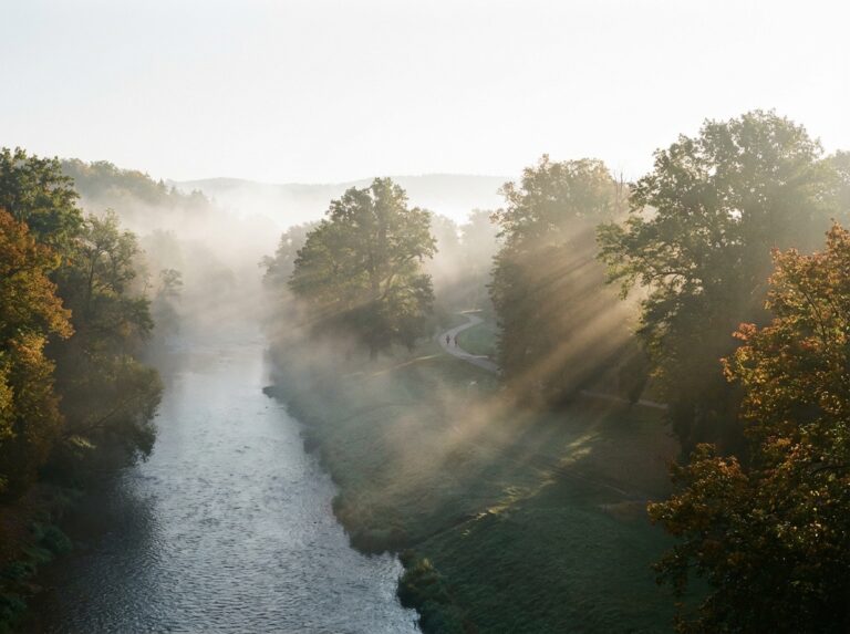park sikory cieszyn tlcp