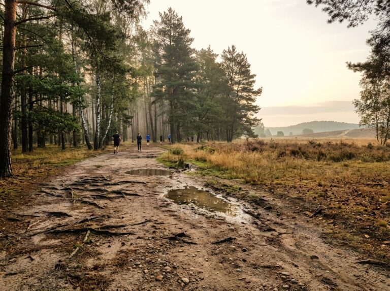 parkrun dziadowo mxbf